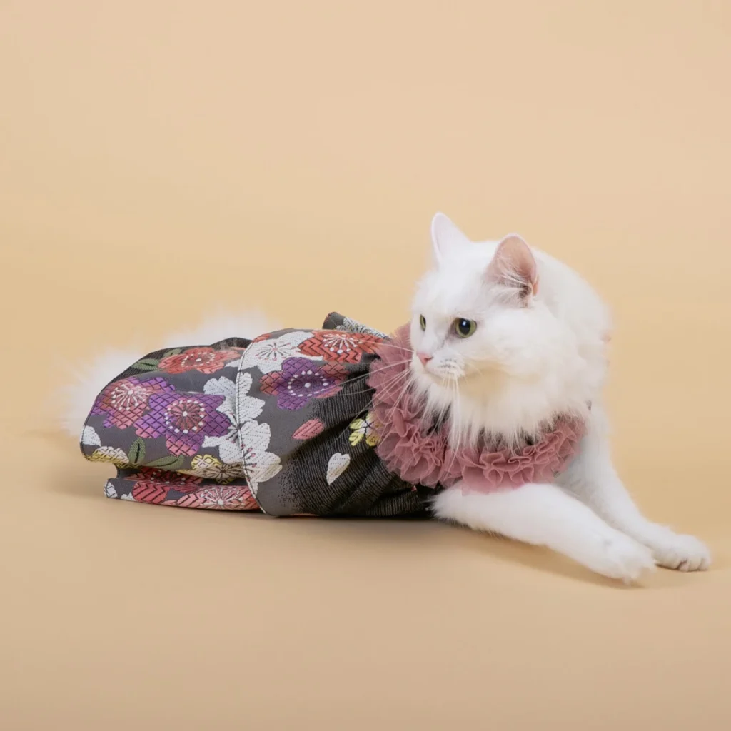 ANNACANEの華やかな花柄和装ペット衣装を身につけた白い猫が、伏せています。