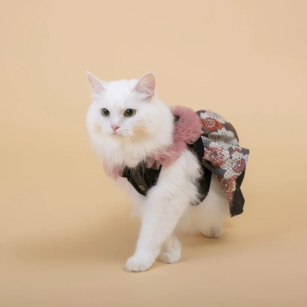 ANNACANEの、思い出の帯をリメイクしたピンクのフリルと和柄が特徴的な和装ペット衣装を着用した白い猫。