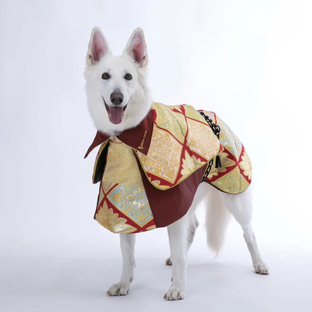ANNACANEの豪華な和柄ドッグウェアを着用し、笑顔でこちらを見つめる白い大型犬。