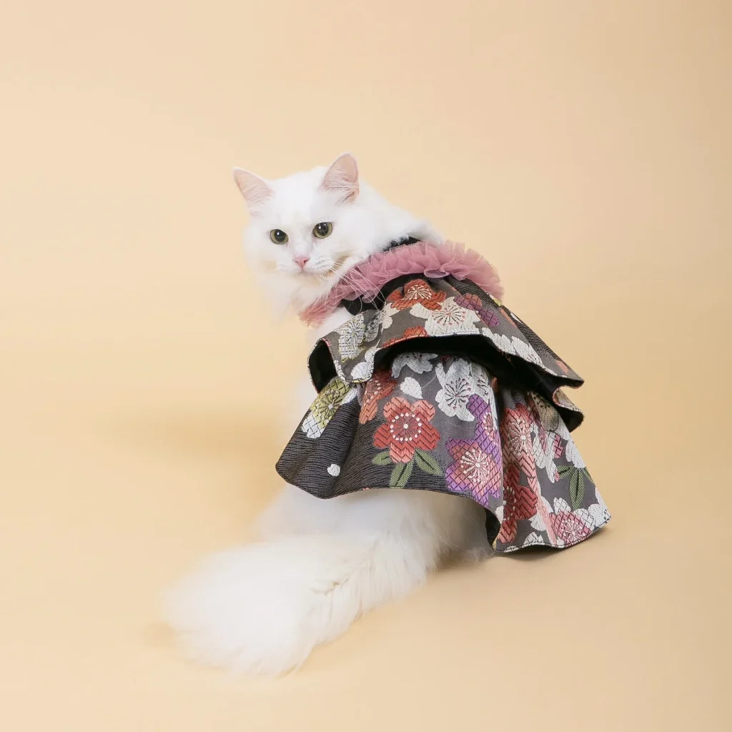 西陣織帯リメイクの華やかな和装ペット衣装を身につけた白い猫。